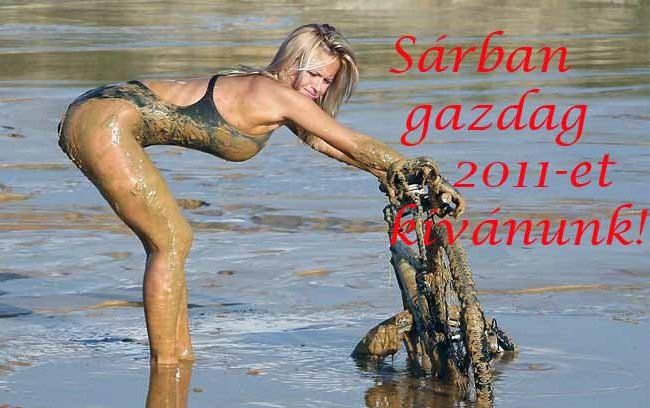 Feltöltött kép
