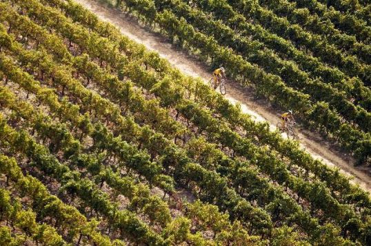 Sportzpics - Cape Epic 